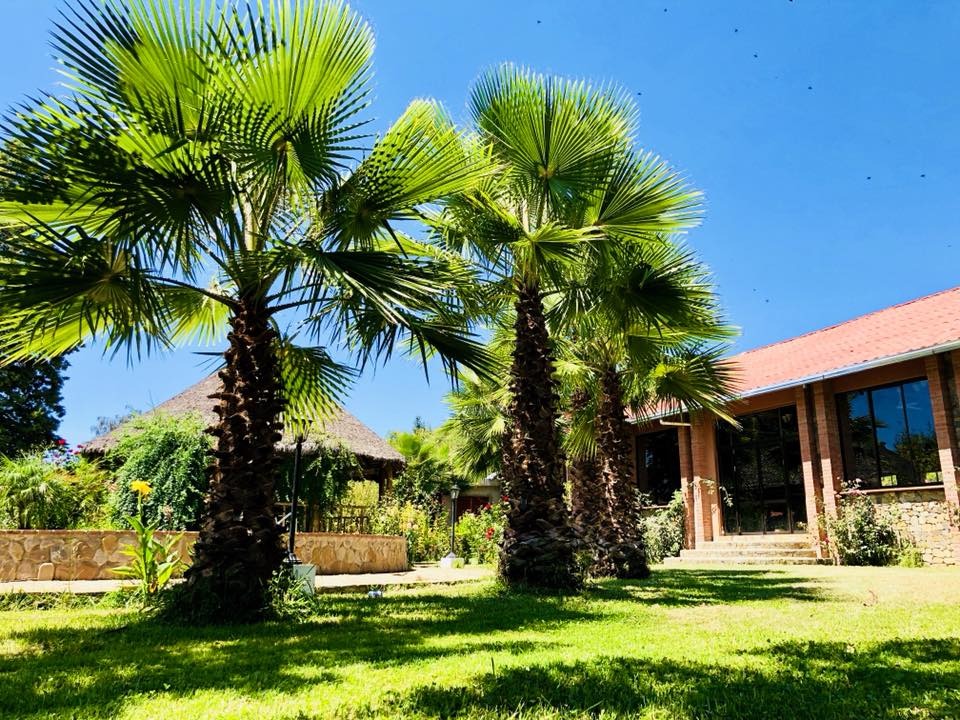 Galería
